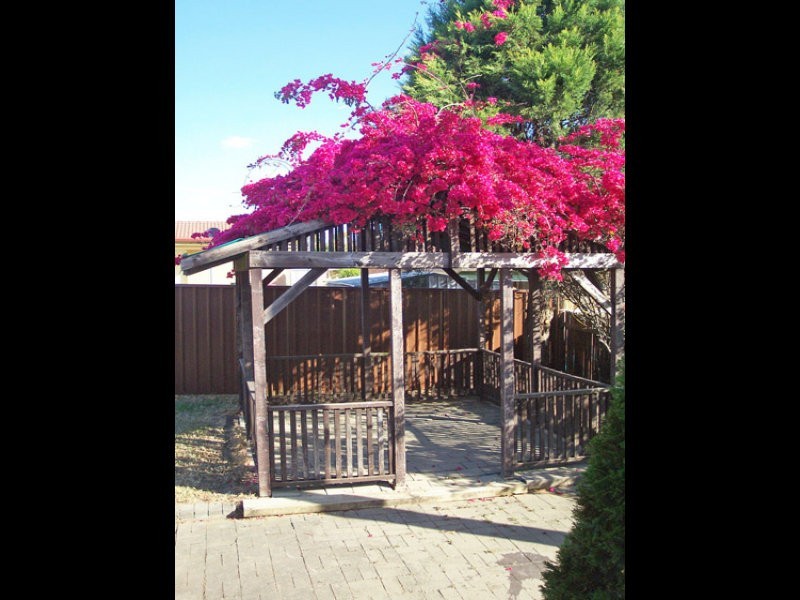 22 Mowatt Street, Narellan NSW 2567