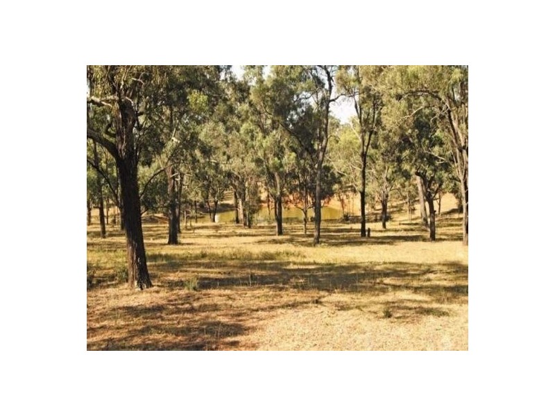 Finns Road, Menangle NSW 2568