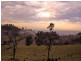Menangle NSW 2568