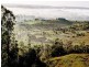 Menangle NSW 2568