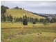 Menangle NSW 2568