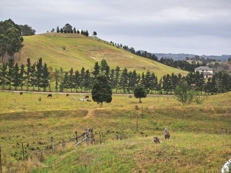 Menangle NSW 2568