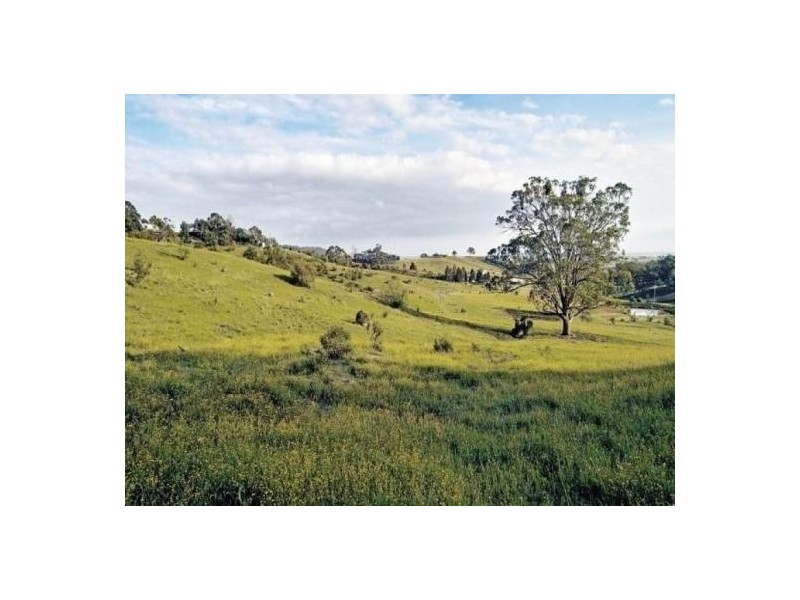 Menangle NSW 2568