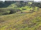 Menangle NSW 2568