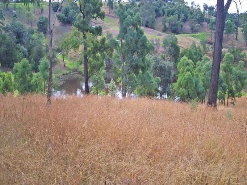 Orangeville NSW 2570
