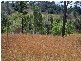 Orangeville NSW 2570