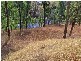 Orangeville NSW 2570