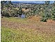Orangeville NSW 2570