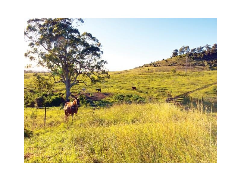 Mount Hunter NSW 2570