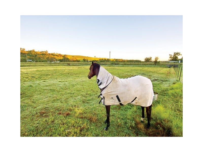 Mount Hunter NSW 2570