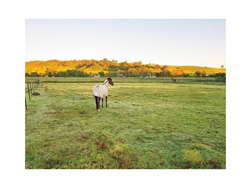 Mount Hunter NSW 2570