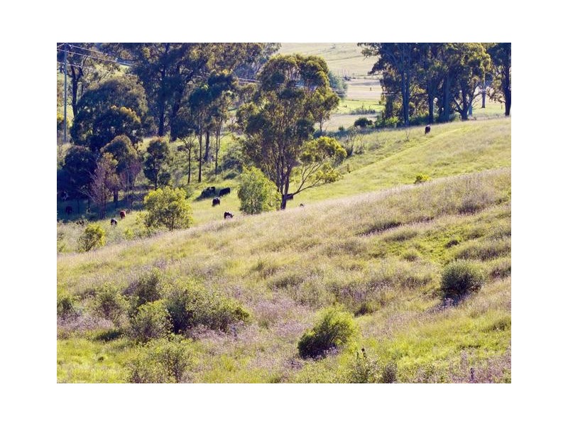 Mount Hunter NSW 2570