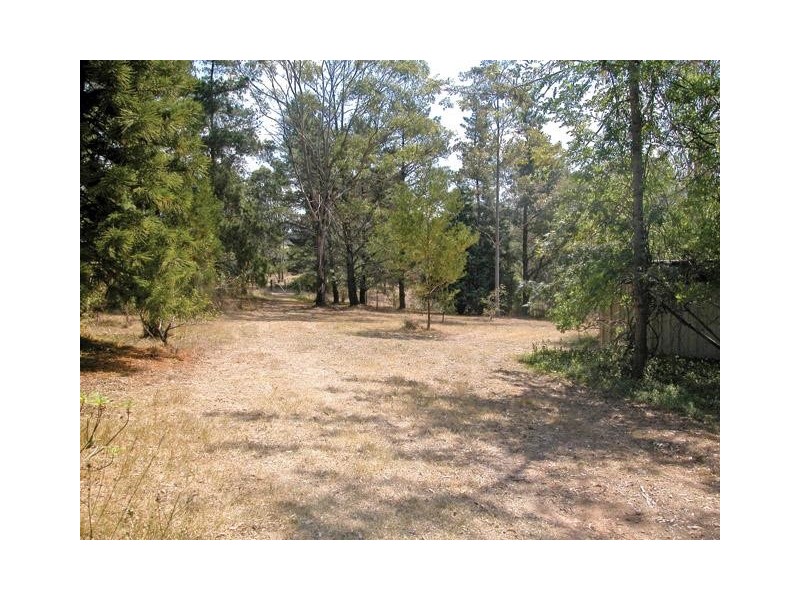 Orangeville NSW 2570