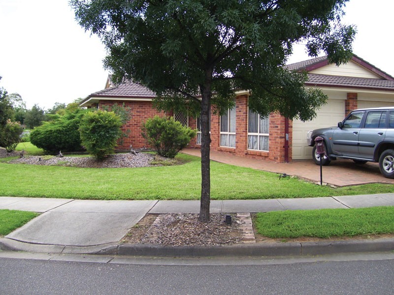 1 Mary Howe Place, Narellan Vale NSW 2567