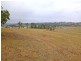The Oaks NSW 2570