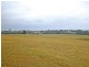 The Oaks NSW 2570