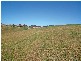 Menangle NSW 2568