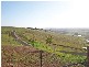 Menangle NSW 2568