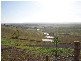Menangle NSW 2568
