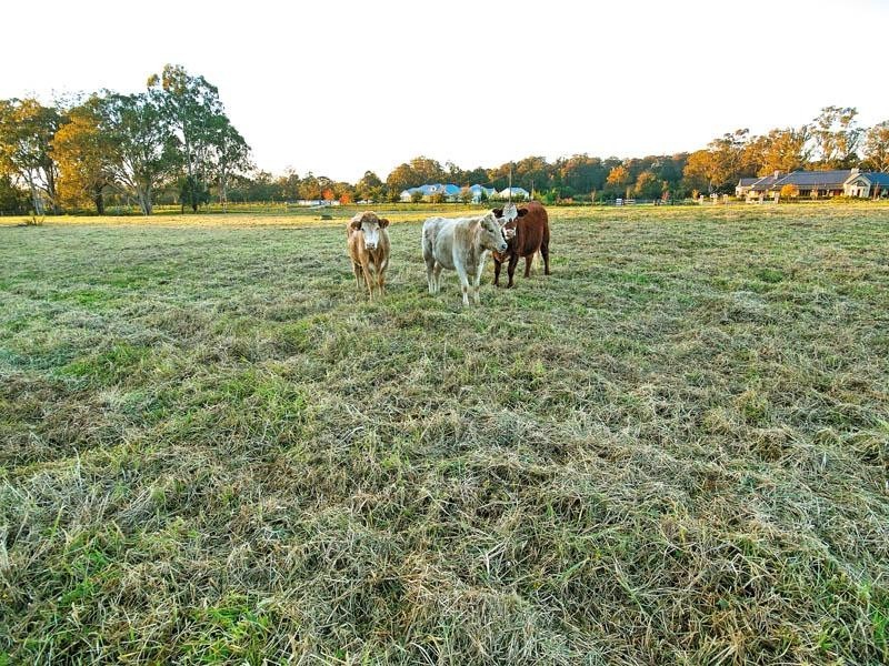 Lot 3 Nectarbrook Drive, Theresa Park NSW 2570