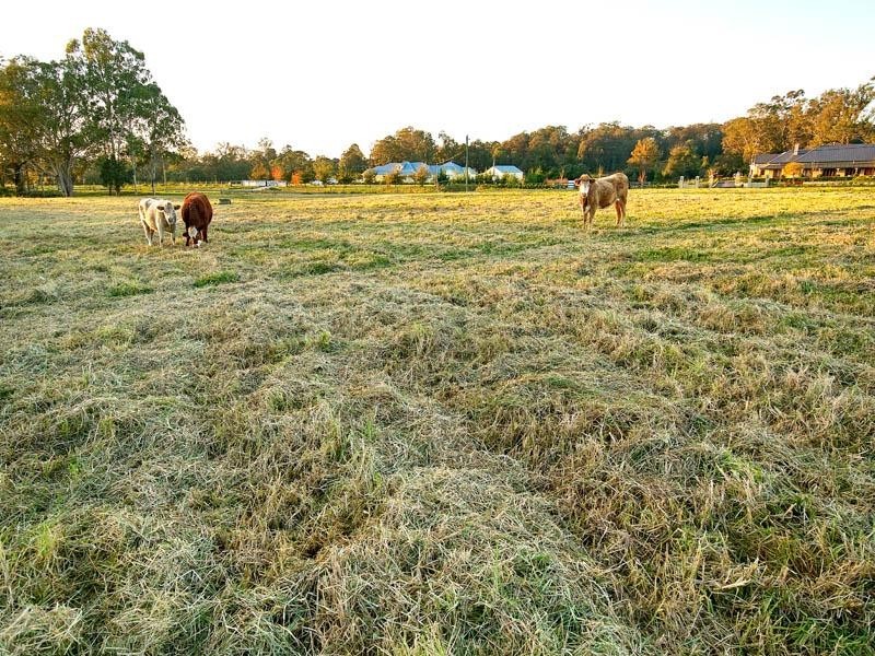 Lot 3 Nectarbrook Drive, Theresa Park NSW 2570