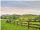 Mount Hunter NSW 2570