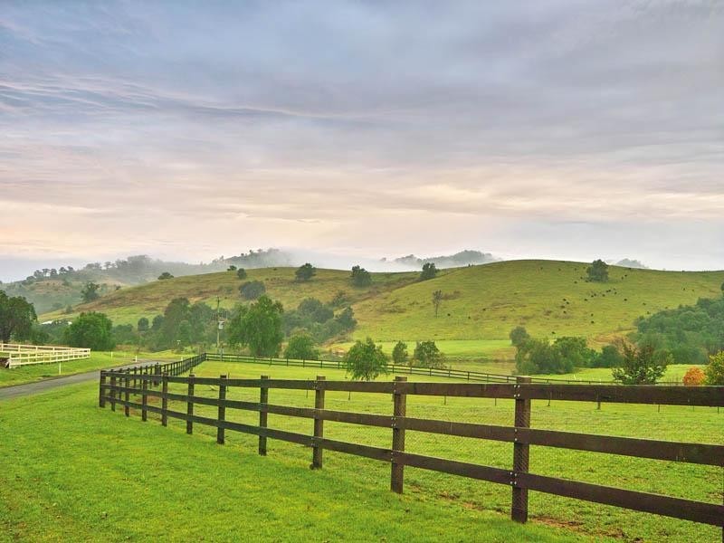 Mount Hunter NSW 2570