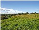Minto Heights NSW 2566