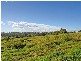 Minto Heights NSW 2566