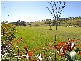 Menangle NSW 2568