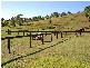 Menangle NSW 2568