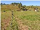 Menangle NSW 2568