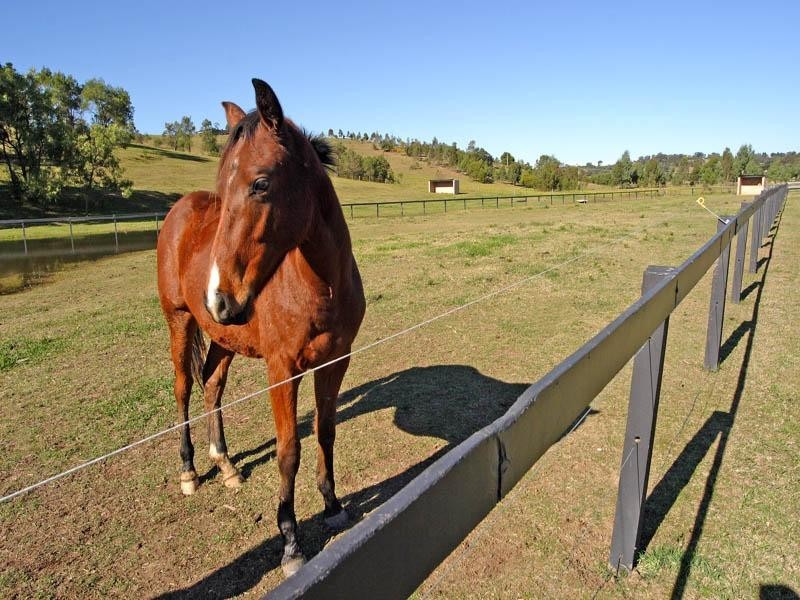 Menangle NSW 2568