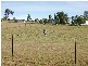 Picton NSW 2571