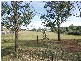 Picton NSW 2571