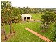 Orangeville NSW 2570