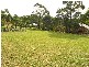 Belimbla Park NSW 2570