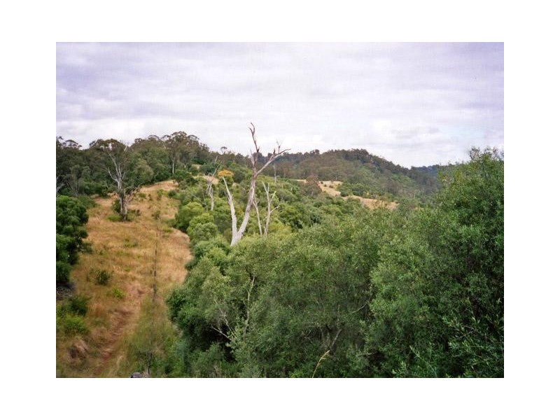 Mount Hunter NSW 2570
