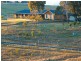 Menangle NSW 2568