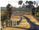 Menangle NSW 2568