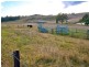 Menangle NSW 2568