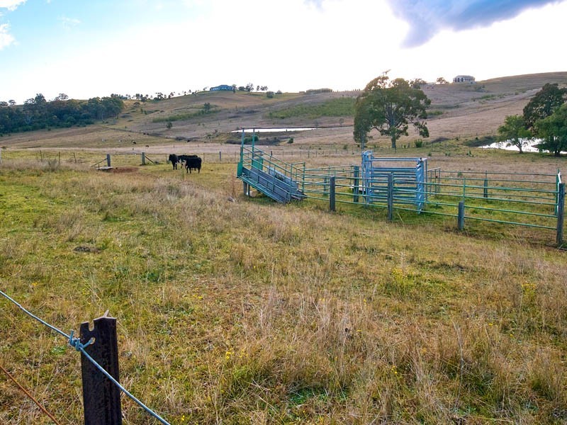 Menangle NSW 2568