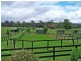 Jilliby NSW 2259
