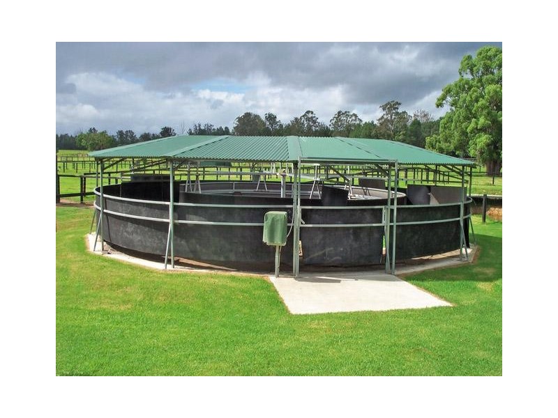 Jilliby NSW 2259