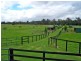 Jilliby NSW 2259