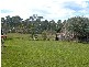 Currans Hill NSW 2567