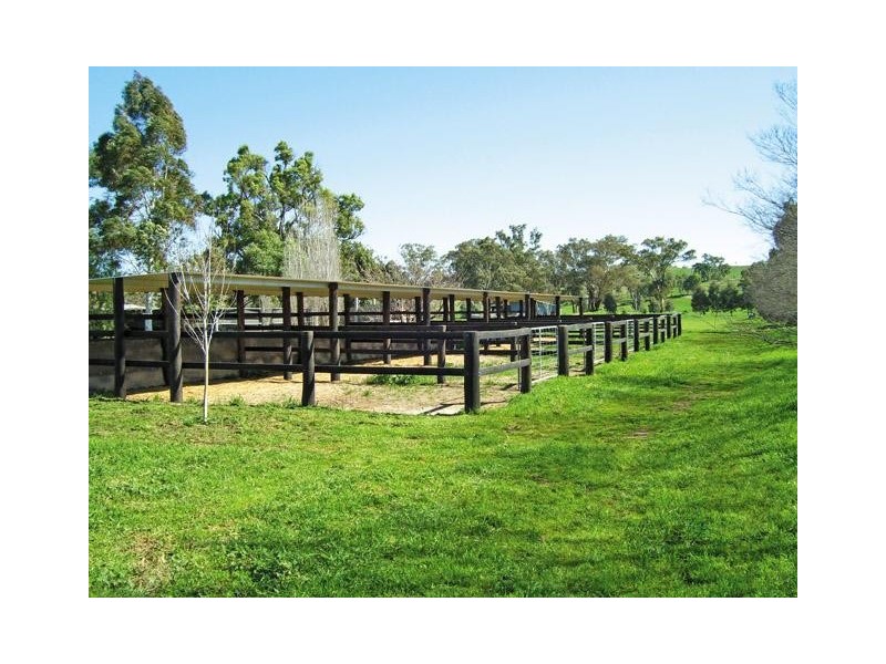 Mudgee NSW 2850