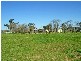 Mudgee NSW 2850
