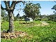Mudgee NSW 2850
