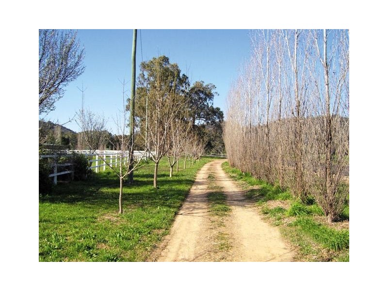 Mudgee NSW 2850